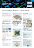 asset preview